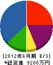 新栄テック 貸借対照表 2012年6月期
