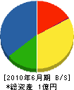 三道興安社 貸借対照表 2010年6月期
