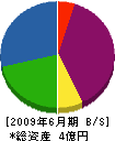 信濃 貸借対照表 2009年6月期