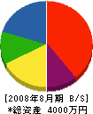 平井組 貸借対照表 2008年8月期