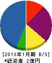徳川電工 貸借対照表 2013年1月期