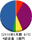 川合工務店 貸借対照表 2010年6月期