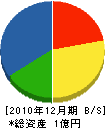 佐田建設 貸借対照表 2010年12月期 佐田建設 貸借対照表 2010年12月期