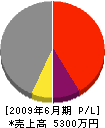 山根組 損益計算書 2009年6月期