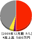 濱崎建設 損益計算書 2009年12月期