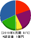 上利金庫店 貸借対照表 2010年6月期