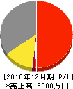 渋沢造園 損益計算書 2010年12月期