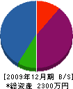九州畳工業所 貸借対照表 2009年12月期