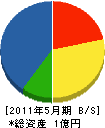 花岡組 貸借対照表 2011年5月期