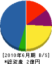 伊井工務店 貸借対照表 2010年6月期