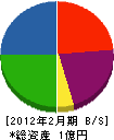 大塚工務店 貸借対照表 2012年2月期