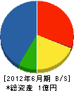澤田組 貸借対照表 2012年6月期