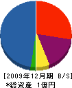 ＯＨＣ 貸借対照表 2009年12月期