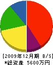 青木塗装店 貸借対照表 2009年12月期