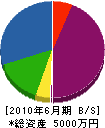 中島プラント 貸借対照表 2010年6月期