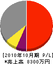 ヒロカワ 損益計算書 2010年10月期
