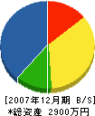 松永住建 貸借対照表 2007年12月期