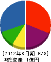 三栄工業 貸借対照表 2012年6月期
