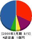 丸北札幌ニチデン 貸借対照表 2008年3月期