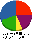 寺田建設 貸借対照表 2011年5月期