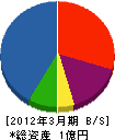 坂本舗道 貸借対照表 2012年3月期