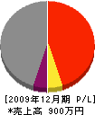 西四国開発 損益計算書 2009年12月期