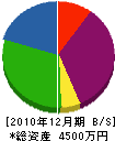 大宮通信 貸借対照表 2010年12月期