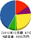 岡上電機 貸借対照表 2012年12月期