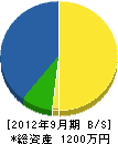 昭伊藤建設 貸借対照表 2012年9月期