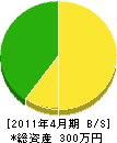 平政園 貸借対照表 2011年4月期