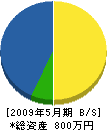 ジャパン・ワークス 貸借対照表 2009年5月期