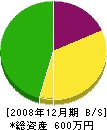 帯川塗装店 貸借対照表 2008年12月期
