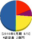 丸島建設 貸借対照表 2010年6月期