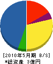 斐川電工 貸借対照表 2010年5月期