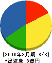 日本体育産業 貸借対照表 2010年8月期