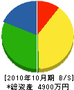 ミキ画房 貸借対照表 2010年10月期