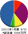 稲田工業 貸借対照表 2012年1月期