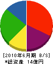 川島建設 貸借対照表 2010年6月期