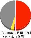 林造園土木 損益計算書 2009年12月期