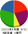 上村工務店 貸借対照表 2012年6月期