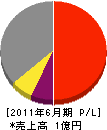イシキヨ 損益計算書 2011年6月期