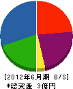 埼玉空調メンテナンス 貸借対照表 2012年6月期