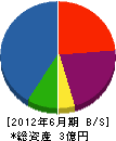 石覚組 貸借対照表 2012年6月期
