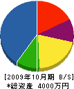 野村電工 貸借対照表 2009年10月期
