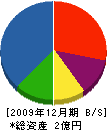 谷口電工 貸借対照表 2009年12月期