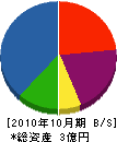 新井土木 貸借対照表 2010年10月期