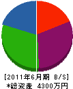 美祢建材店 貸借対照表 2011年6月期
