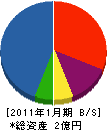 泉亭産業 貸借対照表 2011年1月期