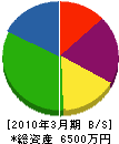 北海道テクニカルシステムエンジニア 貸借対照表 2010年3月期