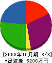 山星電気 貸借対照表 2008年10月期